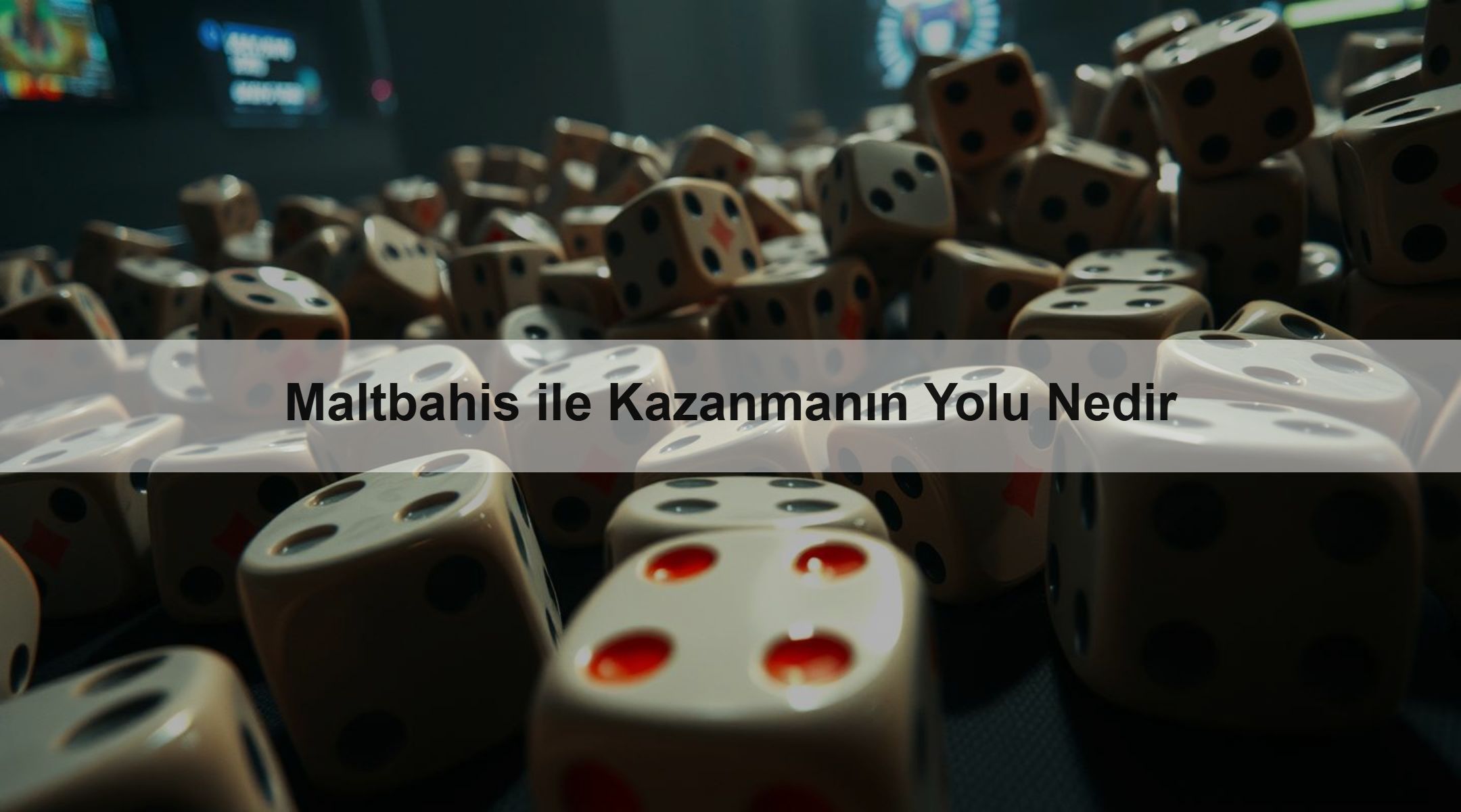 Maltbahis ile Kazanmanın Yolu Nedir